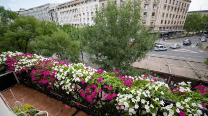 ТРАДИЦИОНАЛНA АКЦИЈA „ЗА ЗЕЛЕНИЈИ БЕОГРАД“: ИЗБОР ЗА НАЈЛЕПШИ ЗЕЛЕНИ ПРОСТОР НА ТЕРИТОРИЈИ ГРАДСКЕ ОПШТИНЕ СТАРИ ГРАД